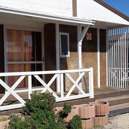 Parque De Campismo Da Praia Da Barra Gafanha da Nazare Luaran gambar