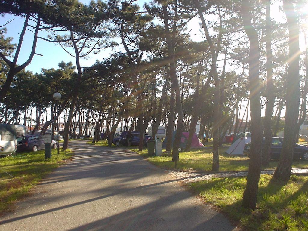 Parque De Campismo Da Praia Da Barra Gafanha da Nazare Luaran gambar
